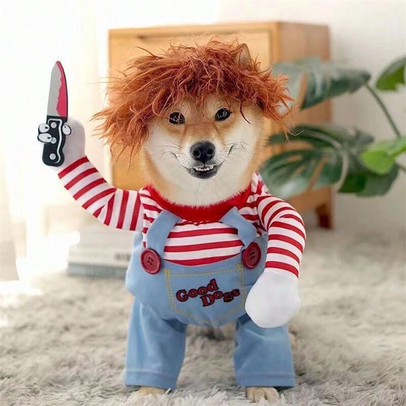 ¡Haz que tu Mascota sea el más temido y tierno de Halloween con Chuky Dog/Cat!